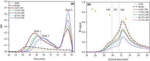 Normalised high-performance size exclusion chromatograms (HPSEC) of non-debranched (a) and debranched (b) WRS after different DH. The dash lines separate long (LBC), intermediate (IBC) and short (SBC) branch chains of amylopectin (B).