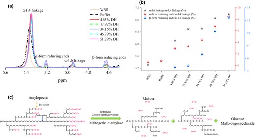 1H NMR spectra of WRS and its hydrolysates (a and b); schematic presentation of the action of MGA on WRS with high concentration (c).
