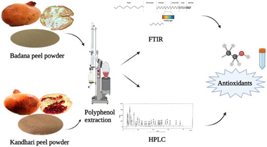 Graphical Abstract