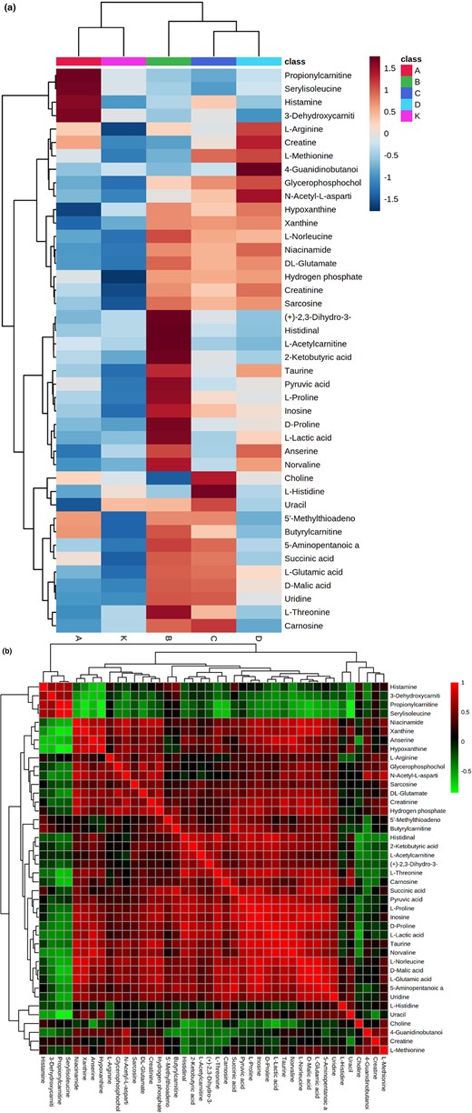 Heat map visualisation of differential metabolites of small molecule compounds in chicken broth samples treated by different power ultrasound (a), and correlation map between differential metabolites (b). Each square indicates the Pearson's correlation coefficient values (r). Positive (0 < r < 1) and negative (−1 < r < 0) correlations are indicated in red and green, respectively. A, 480 W ultrasonic treatment group; B, 600 W ultrasonic treatment group; C, 720 W ultrasonic treatment group; D, 840 W ultrasonic treatment group; K, control group.