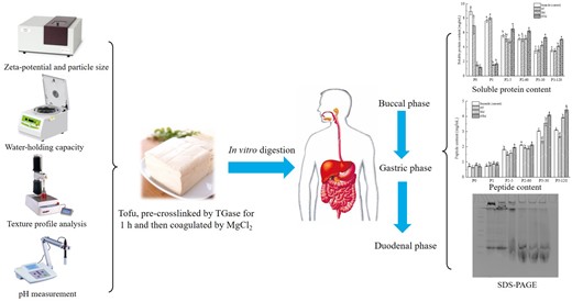 Graphical Abstract