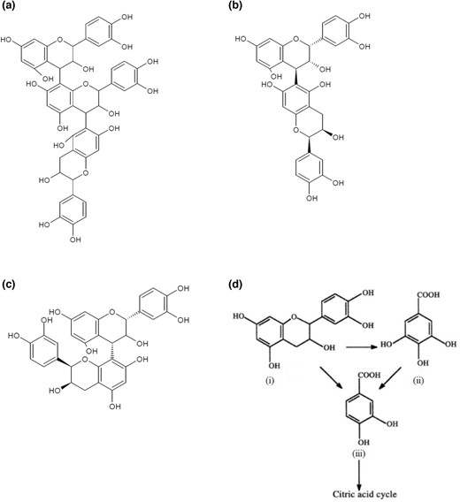 Structures of (a) Arecatannin B1, (b) Procyanidin B5, (c) Procyanidin B4, (d) the degradation of catechin to PCA and PGCA, where (i) catechin, (ii) phloroglucinol carboxylic acid and (iii) protocatechuic acid (adapted from Arunachalam et al., 2003a).