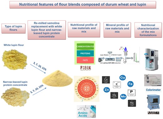 Graphical Abstract