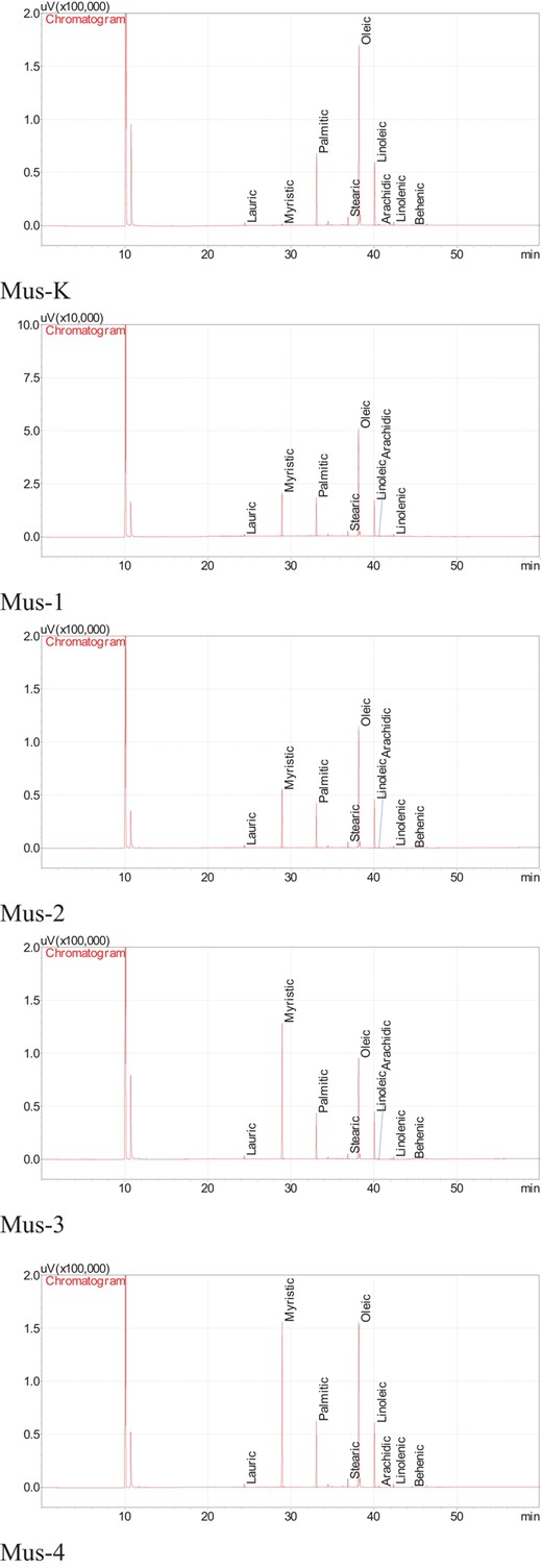 Fatty acid chromatograms of the oils extracted from bread samples.
