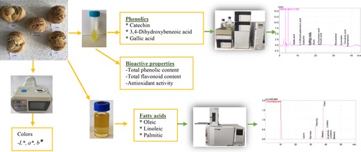 Graphical Abstract