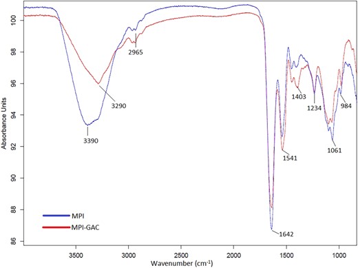 Fourier-transform infrared (FT-IR) spectra of Moringa oleifera seed protein isolate (MPI) and Moringa oleifera seed protein isolate-polyphenol conjugate (MPI-GAC).