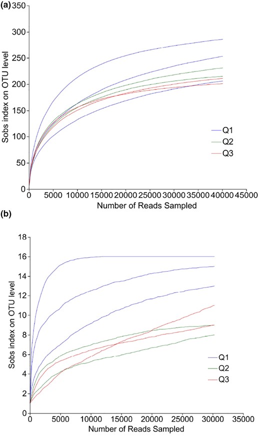 Dilution curves of bacteria (a) and fungi (b) at different fermentation stages of BLMJ. Q1: early fermentation (0–3 days); Q2: middle fermentation (4–9 days); Q3: late fermentation (10–29 days).