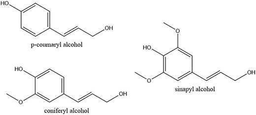 Lignin monomers (ChemDraw) (Vanholme et al., 2010).