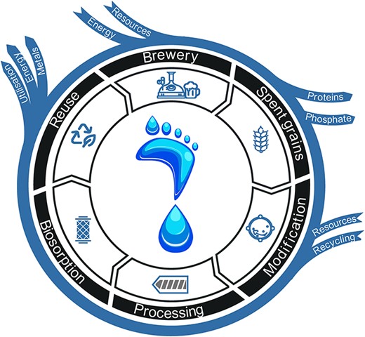 Graphical Abstract