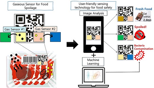 Diagram of the development of user-friendly gas sensors for food safety and the scope of this review.