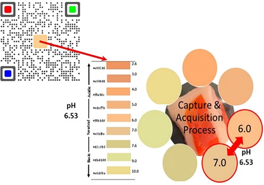 2D-printed QR code labels for detecting food spoilage. Designed QR codes with a pH sensor in the centre and three colour (red, green, and blue) standards positioned in the three corners, and pH sensor colour changes during the storage period of pork line (Pounds et al., 2022) reprinted with permission from Pounds et al. (2022). Copyright 2022 American Chemical Society.