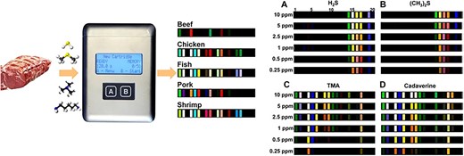 Schematic diagram of a colorimetric sensor array and sensing device for monitoring meat freshness, and colour difference profiles in response to four different VOCs (H2S, (CH3)2S, trimethylamine (TMA), and cadaverine) (Li & Suslick, 2016) reprinted with permission from Li and Suslick (2016). Copyright 2016 American Chemical Society. VOC = volatile organic compound.