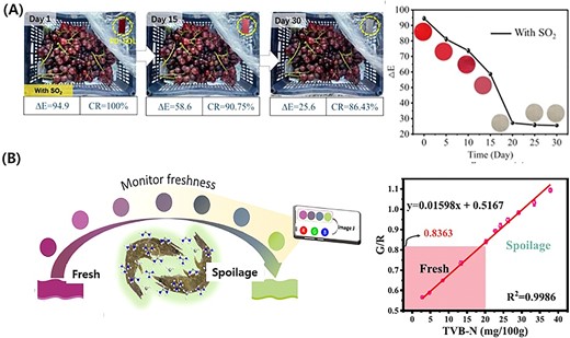 (A) Impact of SO2 gas on grape rotting rates over time and evolution of ΔE values with storage duration using the CIELAB system (Yuan et al., 2023) reprinted with permission from Yuan et al. (2023). Copyright 2023 American Chemical Society (B) colorimetric assessment of shrimp freshness using a multifunctional film and colour analysis via RGB colour model (G/R ratio) to determine spoilage level (Dong et al., 2023). Figures are reproduced with permission from the copyright owner.