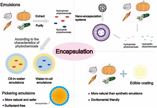 Schematic representation of encapsulations.