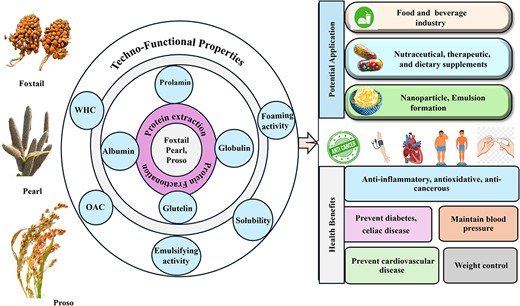 Graphical Abstract
