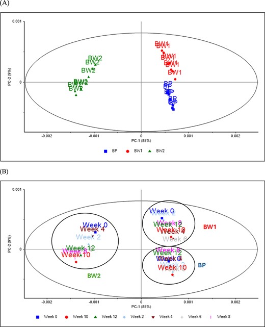 Principal component score plot of the different supplements stored at different times and analysed using mid infrared spectroscopy. (A) Type of supplement and (B) period of storage.