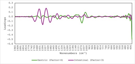 Optimal partial least squares loadings used for the prediction of sampling time in the samples collected during the in vitro gastric and intestinal phases and analysed using mid-infrared spectroscopy.