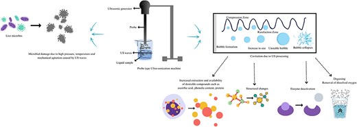 Graphical Abstract