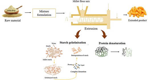 Graphical Abstract