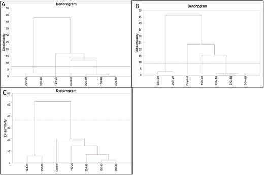 Dendrogram cluster analysis for dough rheology measurements (A) particle size distribution parameters and dough-mixing properties, (B) particle size distribution parameters and Rapid Visco Analyser measurements, and (C) particle size distribution parameters and gel texture measurements. The separation of the samples is more intense by the replacement fraction, additionally the Euclidean distances was enough to separate between different fractions.