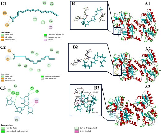 Diagram of the docking site between AA, EPA, RU, and LF molecule (A1–A3) and enlarged detail (B1–B3); schematic diagram of the interaction between AA, EPA, RU, and LF amino acid residues (C1–C3). AA = arachidonic acid; EPA = eicosapentaenoic acid; LF = lactoferrin; RU = rutin.