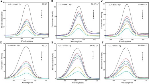 Simultaneous fluorescence spectra of LF, AA-LF, EPA-LF samples by RU at △λ = 15 nm (A, C, E) and △λ = 60 nm (B, D, F). Note: Curves a–g corresponded to the rutin concentrations of 0, 0.409, 0.819, 1.228, 1.638, 4.095, and 8.190 × 10–5 mol/L that were added for analysis. AA = arachidonic acid; EPA = eicosapentaenoic acid; LF = lactoferrin; RU = rutin.