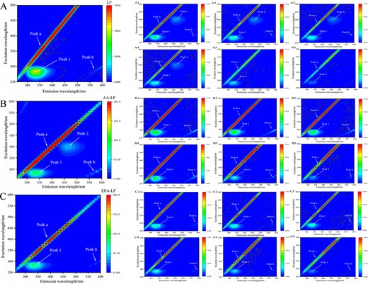 Three-dimensional fluorescence spectra of LF (A), AA-LF (B), and EPA-LF (C); 3D fluorescence spectra of different concentrations of RU interacting with LF (A1–A6), AA-LF (B1–B6), EPA-LF (C1–C6). Note: Curves 1–6 corresponded to the rutin concentrations of 0.409, 0.819, 1.228, 1.638, 4.095, and 8.190 × 10–5 mol/L that were added for analysis. AA = arachidonic acid; EPA = eicosapentaenoic acid; LF = lactoferrin; RU = rutin.