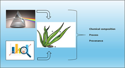 Graphical Abstract