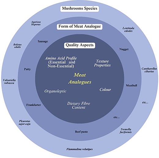 Graphical Abstract
