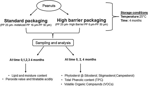 Schematic representation of experimental plan.