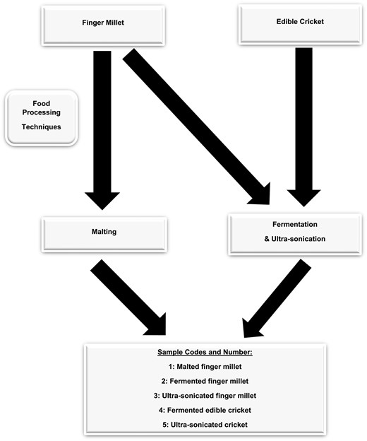 Flowchart of experimental design.