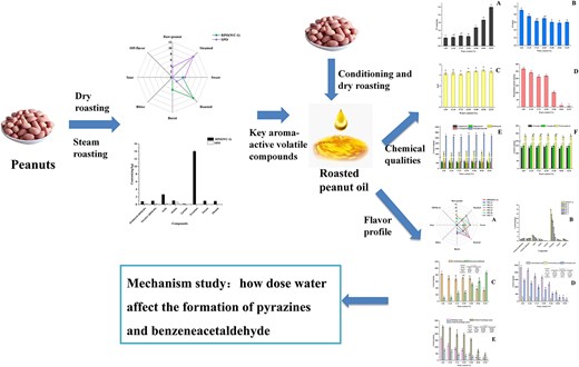Graphical Abstract
