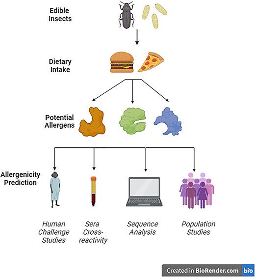 Graphical Abstract