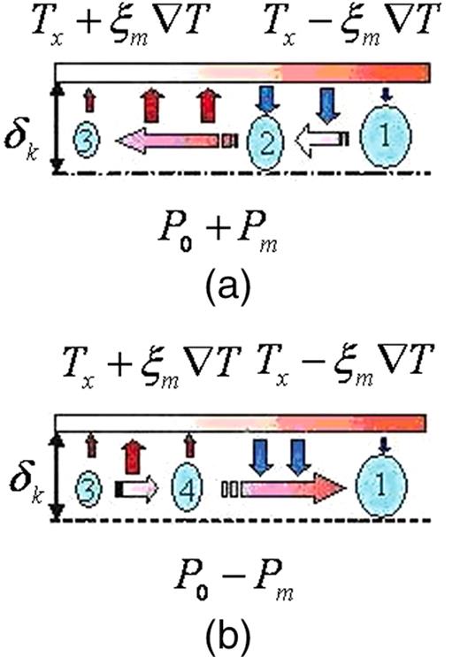 thermodynamic processes of a gas parcel in the thermoacoustic cooler
