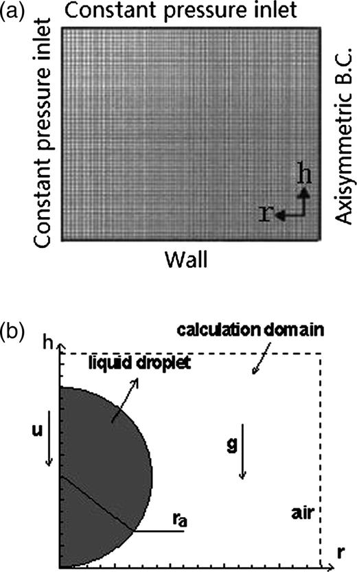 (a) Solution domain and boundary conditions. (b) Typical initial condition and calculation domain.