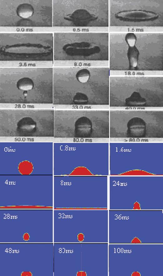 Comparison of the experimental and simulation results of the drop dynamics for 2.7-mm drop (upper: experimental results; below: simulation results).