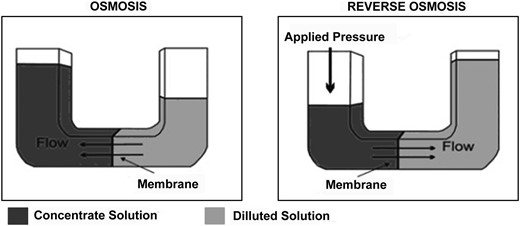 Osmosis and RO processes [66].