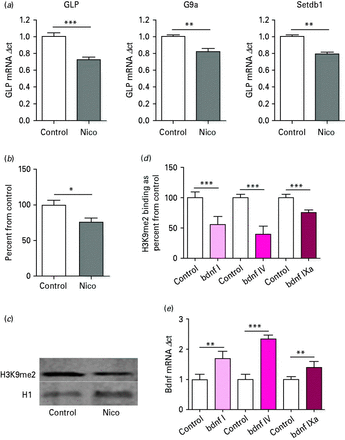 (a) Histone methyltransferases GLP, G9a and Setdb1 mRNA expression in mouse cortex extracts after nicotine (Nico) treatment. mRNA levels showed a significant decrease, as determined by two-tailed t test. n = 5; ** p < 0.01, *** p < 0.001. (b) Global histone post-translational modification H3K9me2 expression in mouse cortex extracts after Nico treatment. Protein levels showed a significant decrease. * p < 0.05, as determined by t test. (c) Representative Western blot for mouse cortex extracts treated with Nico. (d) Chromatin immunoprecipitation: H3K9me2 binding at brain-derived neurotrophic factor (Bdnf) promoter regions in mouse cortex extracts after Nico treatment. *** p < 0.001, as determined by two-tailed t test. (e) BDNF mRNA: increases in Bdnf transcript mRNA expression in mouse cortex extracts after Nico treatment. ** p < 0.01, *** p < 0.001, as determined by two-tailed t test.