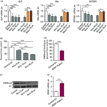 (a) Histone methyltransferases (HMT) GLP, G9a and SETDB1 mRNA expression in lymphocyte cell culture. After nicotine (Nico) treatment for 6 h, mRNA levels showed a significant decrease, as determined by Tukey post hoc. Nicotine-induced decreases on HMT mRNA were abolished with mecamylamine pretreatment. n = 9; * p < 0.05, ** p < 0.01, *** p < 0.001. (b) Global histone post-translational modification H3K9me2 expression in lymphocyte cell culture after Nico treatment for 6 h. Protein levels showed a significant decrease. n = 4; **p < 0.01, ***p < 0.001 as determined by t test. (c) Representative Western blot for lymphocyte culture treated with various concentrations of Nico. (d) Chromatin immunoprecipitation: H3K9me2 binding at BDNF promoter regions IXabcd in lymphocyte cell culture after 6 h of 50 µm Nico treatment. n = 6; *** p < 0.001, as determined by two-tailed t test. (e) BDNF mRNA: increases in BDNF transcript IXabcd mRNA expression in lymphocyte cell culture after Nico treatment for 6 h. n = 4; *** p < 0.001, as determined by two-tailed t test.