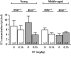 Plasma oxytocin (OT) levels in baseline conditions and following 0.15 mg/kg OT treatment (µIU/ml) were measured in young and middle-aged female insulin-regulated aminopeptidase wild type (IRAP+/+) and knockout (IRAP−/−) mice by a commercially available ELISA kit (Mann–Whitney test).