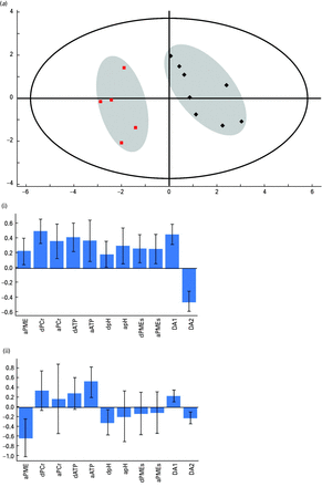 Partial-least squares discriminant analysis (PLS-DA) plot of the effects of transcranial direct current stimulation (tDCS) on all 13 subjects. (a) The plot shows the results of a PLS-DA model where the difference between baseline adenosine triphosphate (ATP), phosphocreatine (PCr) and pH in the during and after states in the active condition were used as inputs, along with phosphomonoesters (PME) in the active state during tDCS and in the sham state in the ‘during’ and ‘after’ conditions. The figure shows clear separation of the two groups of subjects based on their high energy phosphate response to tDCS. The large outer ellipse represents the 95% confidence interval (Hotelling score). The model described a two component model accounting for 88% of the variance in the data with a cross-validation value (Q2) of 74%. (i) and (ii) show the loadings for each variable for each component.