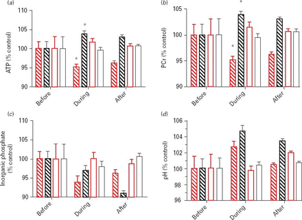 31P metabolite levels before, during and after transcranial direct current stimulation for each of the groups identified by partial-least squares discriminant analysis. Measurements are normalized to each mean baseline measurement (100) made relative to the fiducial marker resonances, phenylphosphonate at δ = ∼15.8 ppm. The two subgroups are coloured as in Fig. 3 (red or black) with the respective sham stimulation shown in white bars with red or black outline. Error bars are s.e.m. and are N = 4 (before), N = 16 (during) and N = 40 (after) repeated measures on 13 subjects. PCr, Phosphocreatine; ATP, adenosine triphosphate.