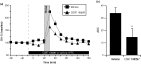 Selective glucocorticoid receptor antagonist attenuates stress-evoked dopamine (DA) efflux in the medial prefrontal cortex (mPFC). (a) Time course of the change of DA efflux from baseline measured within the mPFC while animals are subject to tail-pinch stress (15 min; grey-shaded box). CORT 108297 (horizontal black line) was delivered into the mPFC via reverse microdialysis. All values are expressed as percent change from baseline ± s.e.m. (n = 9, vehicle; n = 10, CORT 108297). (b) Histogram depicting mean area under curve (AUC; ± s.e.m.) for the change in DA efflux relative to baseline for 90 min after the initiation of stress (* p < 0.05).