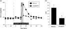 Ionotrophic glutamate receptors in the ventral tegmental area (VTA) mediate stress-evoked dopamine (DA) efflux in the medial prefrontal cortex (mPFC). (a) Time course of the change from baseline of DA efflux in the mPFC measured from while animals were subject to tail-pinch stress (15 min; grey-shaded box). CNQX or AP5 (horizontal black line) were perfused into the VTA via reverse microdialysis. All values are expressed as percent change from baseline ± s.e.m. (n = 8, vehicle; n = 6, CNQX and AP5). (b) Histogram depicting mean area under curve (AUC; ± s.e.m.) for the change in DA efflux relative to baseline for 90 min after the initiation of stress (* p < 0.05).
