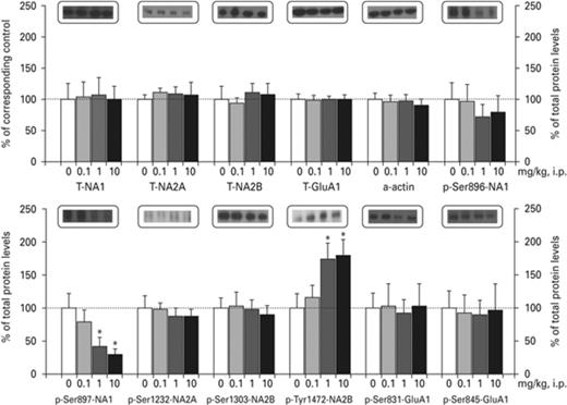 Effects of ropinirole on N-methyl-D-aspartate (NMDA) and α-Amino-3-hydroxy-5-methyl-4-isoxazolepropionic acid (AMPA) receptor phosphorylation in the ventral striatum (VSTR). Asterisks (*) signify a statistically significant effect compared to 0 mg/kg; *p < 0.05, according to LSD post-hoc.