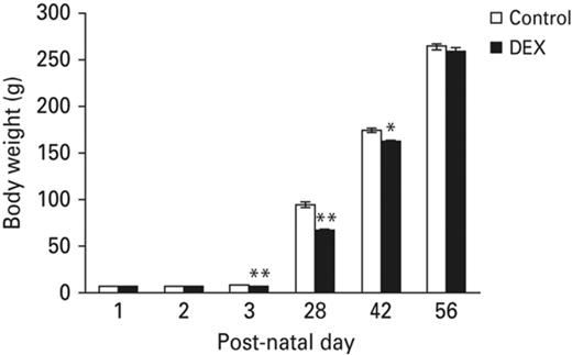 Neonatal DEX treatment effects on somatic growth. Neonatal DEX treatment resulted in decreasing body weight in the P3, P28 and P42 animals compared with the control animals, but by P56 there was no significant weight difference between groups. Each vertical bar represents the Mean±s.e.m. for each group (**p < 0.01, *p < 0.05).