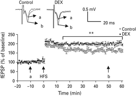 High frequency stimulation induced LTP in amygdala was increased in the neonatal DEX-treated animals compared with the control group. Typical traces were displayed in the upper panel, a & b represent 10 min before induction and 60 min after induction, respectively. Each vertical bar represents the Mean±sem. **p < 0.01 compared with control group.