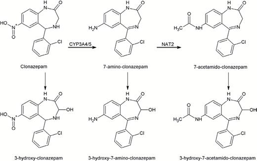 Metabolic pathways of clonazepam.