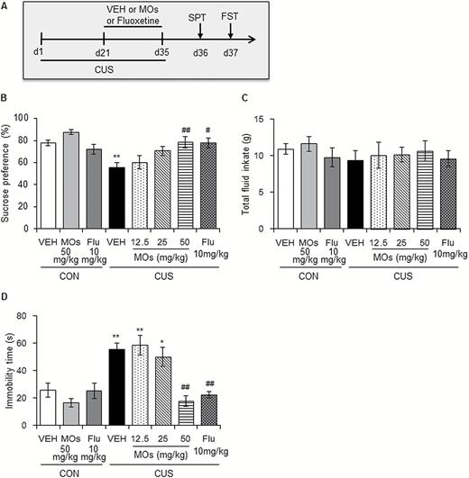 Morinda officinalis oligosaccharide (MOs) treatment produced antidepressant-like effects in rats. (A) Timeline of chronic unpredictable stress (CUS) exposure and the behavioral tests (n = 8–9/group). Rats underwent 35 days of CUS, and MOs (12.5, 25, and 50 mg/kg) and fluoxetine (10 mg/kg) were administered i.g. during the last 14 days. (B-C) Sucrose preference and total fluid intake in the sucrose preference test (SPT). (D) Immobility time in the forced swim test (FST).
