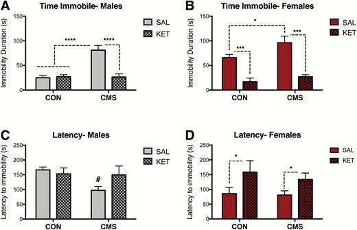 Antidepressant-like effects of acute ketamine administration on the forced swim test (FST). (A) Ketamine reduced immobility duration in male rats exposed to chronic mild stress (CMS) (CON-SAL: n=9, CON-KET: n=10, CMS groups: n=7/group; P< .0001). (B) Ketamine reduced immobility duration in CON and CMS female rats exposed to the FST (CON-SAL: n=8, CON-KET: n=6, CMS groups: n=8/group; P< .001). (C) Ketamine did not affect latency to immobility in male rats (CON-SAL: n=9, CON-KET: n=10, CMS groups: n=7/group; P= .32). (D) Ketamine increased the latency to immobility in CON and CMS female rats (CON-SAL: n=8, CON-KET: n=6, CMS groups: n=8/group; P< .05). Error bars represent mean ± SEM. Gray bars represent males; red bars represent females; checkered bars represent ketamine-treated groups. *P< .05, **P< .01, ***P< .001, ****P< .0001, # denotes trend (P= .06).